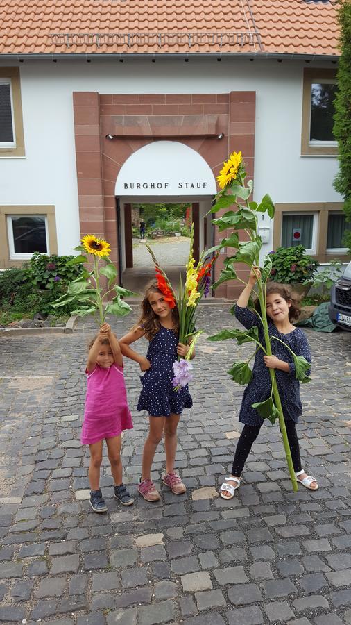 Well-Being Gastehaus Stauf Hotell Eisenberg  Eksteriør bilde